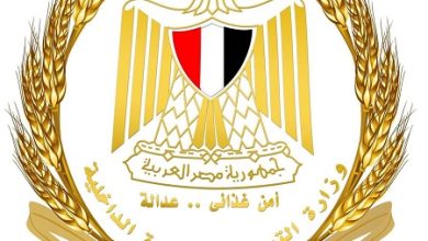 تنفيذًا لتوجيهات السيد رئيس الجمهورية.. وزير التموين يتابع تطوير منظومة الرقابة على الأسواق باستخدام الحلول الرقمية والذكاء الاصطناعي