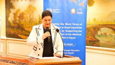 «الطفولة والأمومة»: حماية الطفل تبدأ بتمكين الأسرة وضمان حقه في التعليم 3 «الطفولة والأمومة»: حماية الطفل تبدأ بتمكين الأسرة وضمان حقه في التعليم