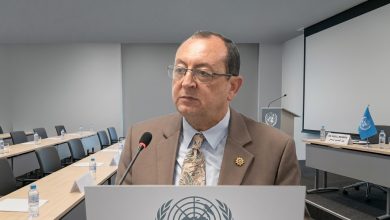 المستشار خالد العروسي يكتب: مونتريال.. مزيج الحضارات والثقافة