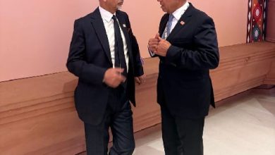 وزير الخارجية المصري يبحث مع نظيره الهندي تعزيز الشراكة الاستراتيجية والتطورات الإقليمية