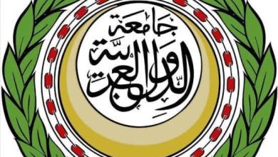 نبيل فهمي يصل إلى الخرطوم في زيارة عمل